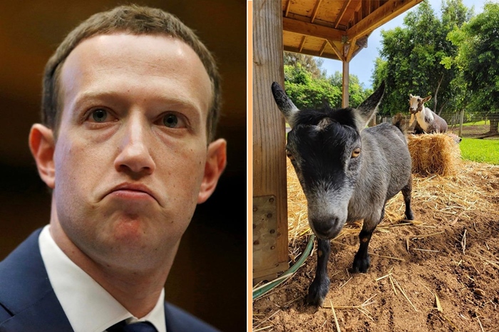 Xwediyê Facebookê navê bizina xwe ‘Bitcoin’ danî!