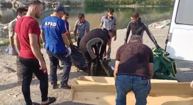 Xortekî di Çemê Batmanê de fetisî