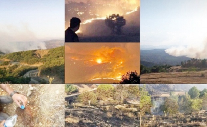 Sewata li Çewligê 5 roj in berdewam dike: Zêdetirî 25 hezar donim erd sewitî