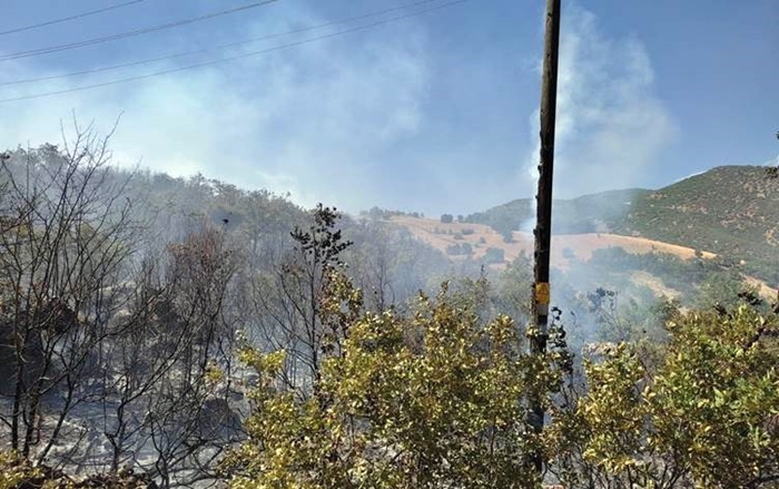 Sewata daristanên Dêrsimê 14 roj in nehatiye vemirandin