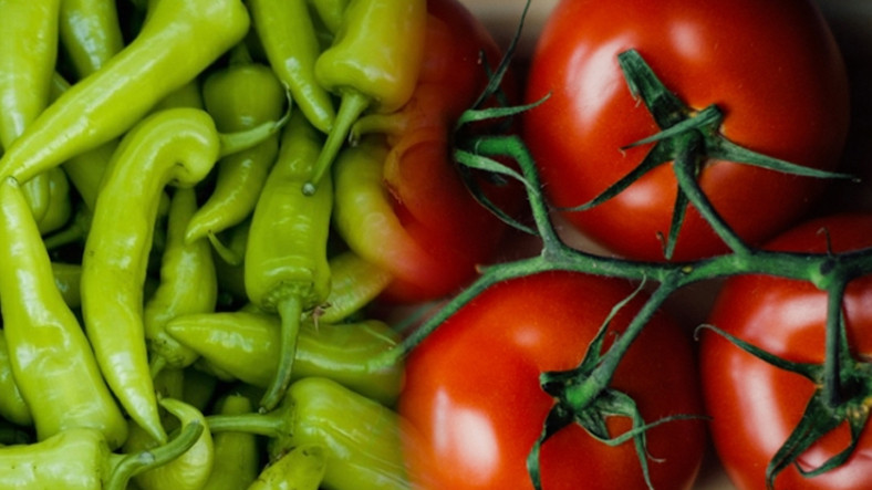 Rûsya kirîna îsot û bacanên sor ji Tirkiyê serbest kir