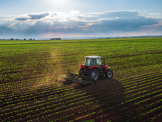 Amerîka milyonek dolar ji bo pêsvebirina çandiniya Herêma Kurdistanê dabîn dike