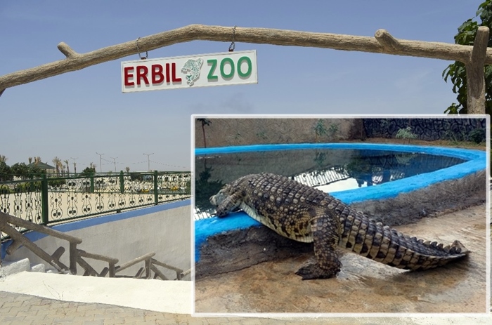 6 Tîmsehên mezin li Baxçeyê Ajalan a Hewlêrê hatin danîn