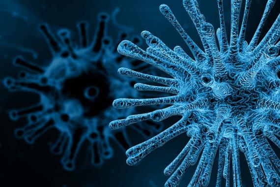 Zêdetirê 4.500 seferên balfiran bi sedema Omicronê betal kirin