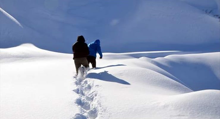 Li bajarên Wan, Mûs û Bedlîsê hêjî rêya 54 gundan girtiye
