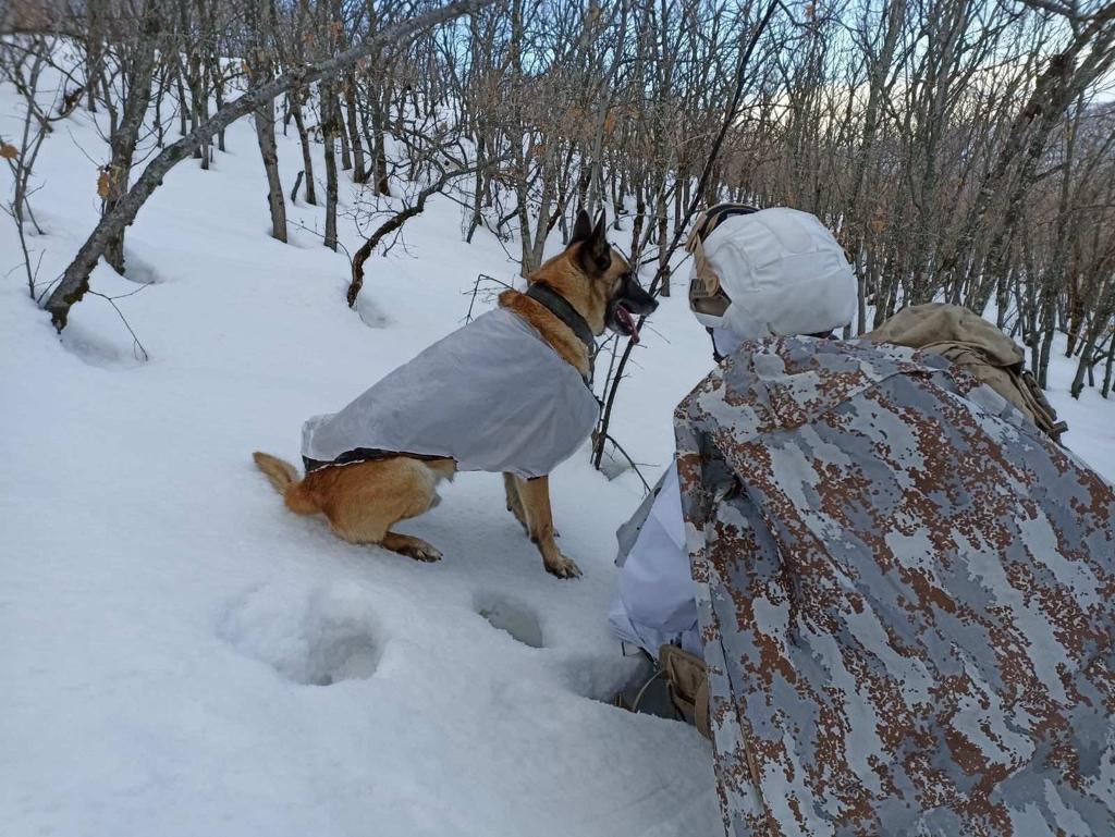 Artêsa Tirkiyê li Diyarbekirê dest bi operasyoneke nû ya bi navê Eren Zivistan-21 kir
