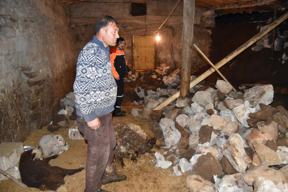 Axwur roxiya û 70 heywan tê de mirin