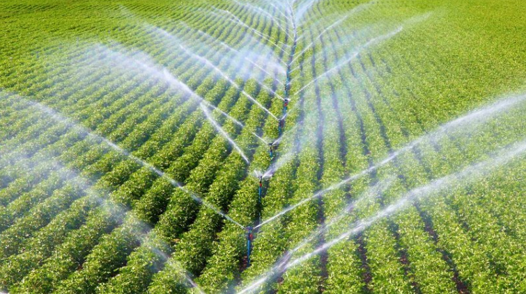 15 projeyên Rêxistina ZOA ya Holendî, li Herêma Kurdistanê tên cîbicîkirin