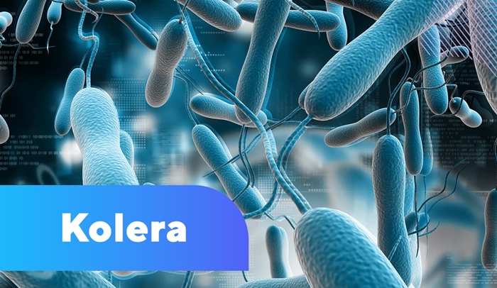 Rêveberê Tendirustiya Kerkûkê: Hejmara kesên ji ber zikçûnê ketine nexwesxaneyê zêde bûye