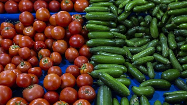 Kurdistan | Qedexeya bacan û xiyarên ji derve tên heta demeke nediyar hat dirêjkirin