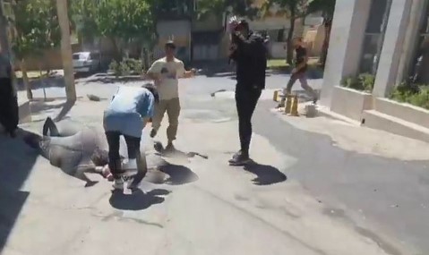 Hêzên ewlehiyê gule bera welatiyan dan û di encamê de kustî û birîndar hene