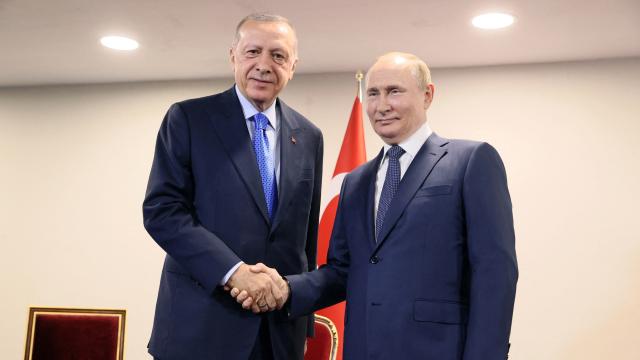 Erdogan li ser mijara korîdora hûbûbatê bi Putin re axifî
