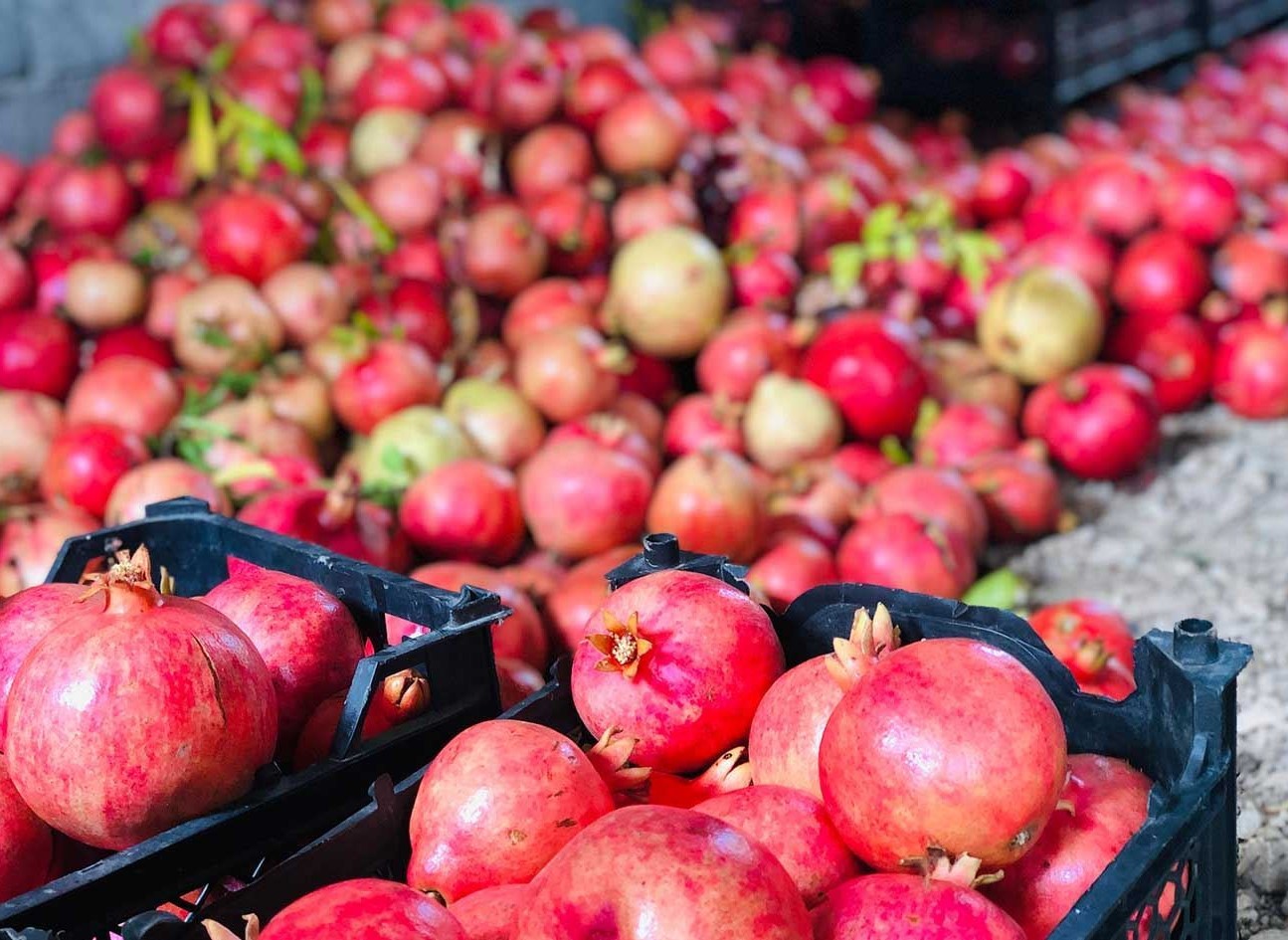 Hêjmara bazirganiya derve ya Herêma Kurdistanê zêde bû