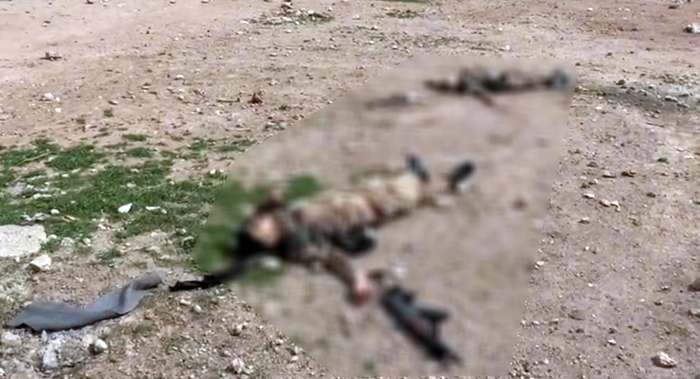 Rojava | Hewla êrîsa xwekujî hat têkbirin: 2 çekdarên DAISê hatin kustin