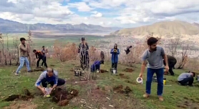 Hogirên 'Hizra Kesk' 1500 sitlên daran li daristanên sewitandî çandin