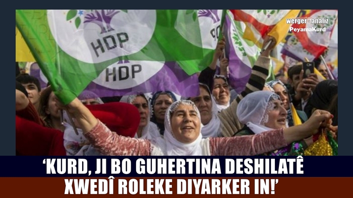 'Ji ber xeta neteweperestî, pistevaniya Kurdan a bo Erdogan kêm bûye'