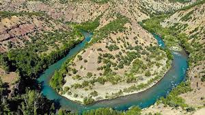 Li Dêrsimê çûna daristanan û vêxistina agir hat qedexe kirin