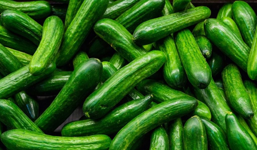 Hukumeta Kurdistanê îtxalata xiyaran qedexe kir