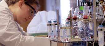 Lêkolînerên Îsraîlê rêbazekî ku hucrên kanserê xwe bi xwe dikujin bi pês xist