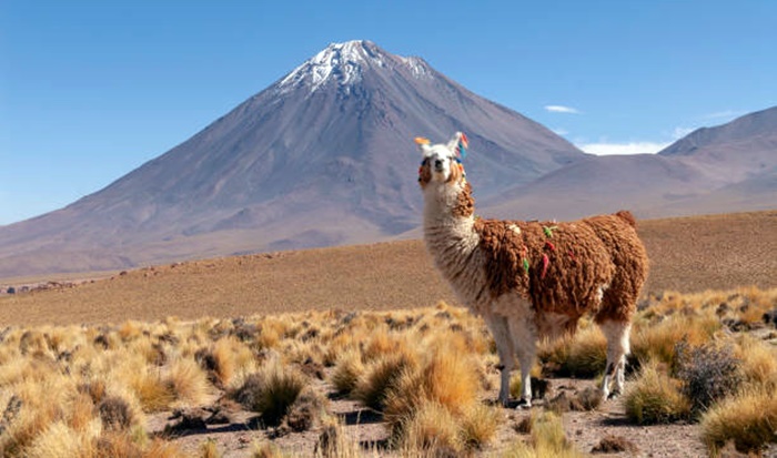 Cihê ku li dinyayê herî zêde tîna rojê distîne hate tespîtkirin