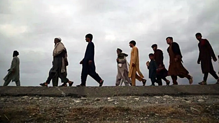 Silêmanî | 14 koçberên Afganî hatin desteser kirin