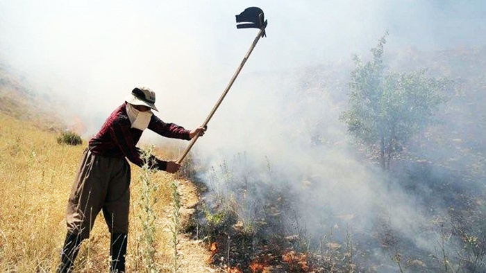 Li Rojhilatê Kurdistanê bi dehan hektar daristan hatin sewitandin