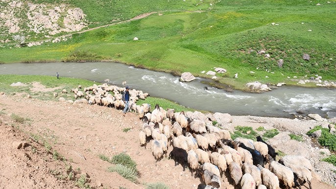 Li çiya û zozanên Sirnexê qedexeya 15 rojan hate ragihandin