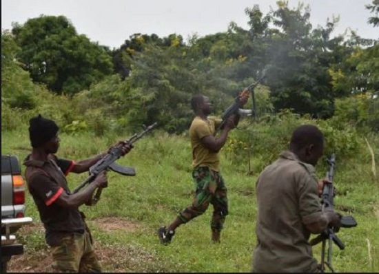 Li eyaleta Zamfarayê di êrîsa çekdarî de 6 kes hatin kustin