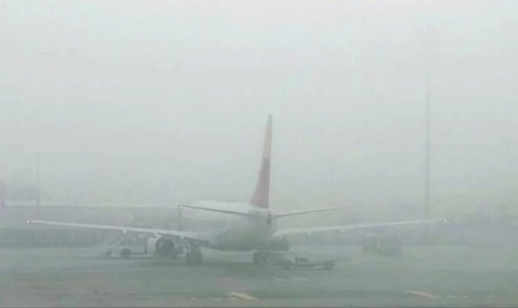 Li Amedê gestên frokeyan hatin rawestandin