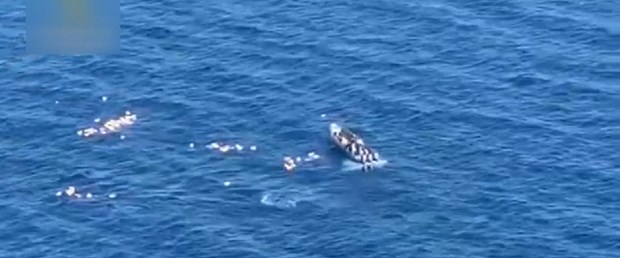 Qaçaxçiyan polîsan ji fetisandinê rizgar kir