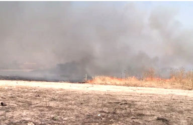 Li navenda Singalê sewateke mezin derket