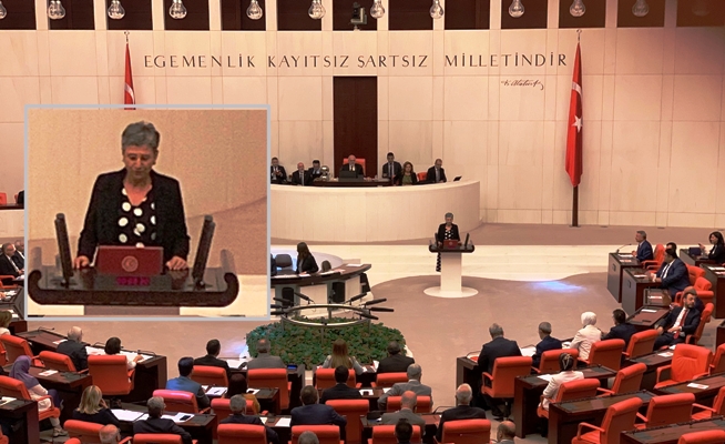 Leyla Guvenê sonda yasayî xwar û dest bi karê parlamentariyê kir