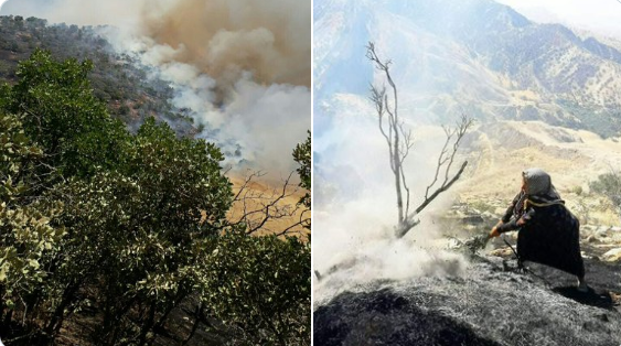 Rojhilat  | Agir bi daristanên çiyayê Kilas Husiyê ket!
