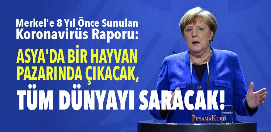 8 yil önce Merkel'e sunulan rapor: Kontrolü HIV'den daha zor olacak