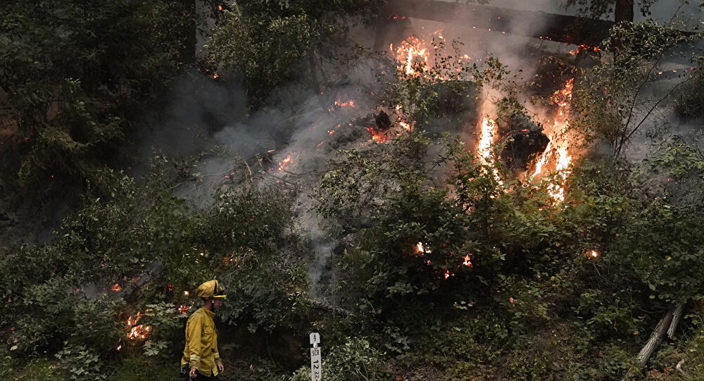 Donald Trump 'büyük afet' ilan etti!