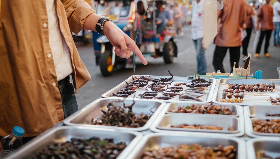 Yenilebilir böceklerden yeni salgin tehdidi!