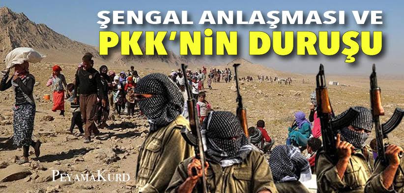 "Mesele umutlari ellerinden alinan Sengalliler degil, devsirilmek istenen ranttir"