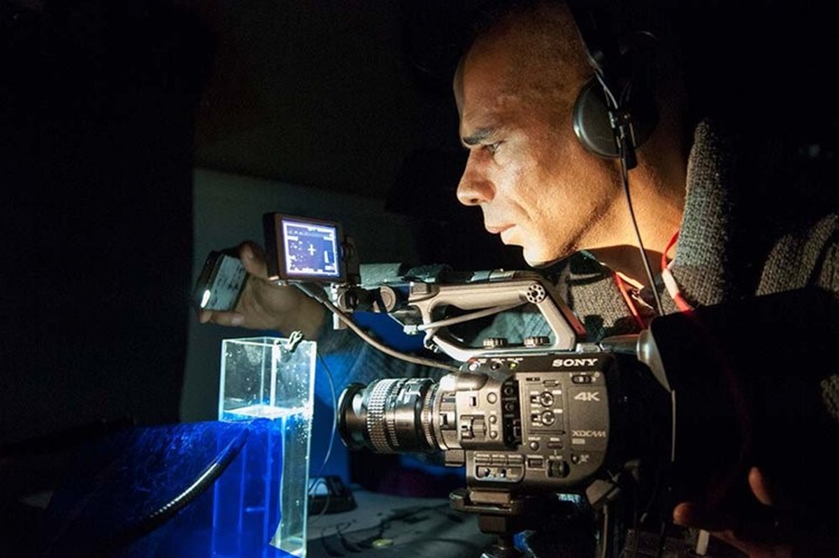 Antartika buzunun sakli tarihini 1765’ten kalma kapsül ortaya çikardi!