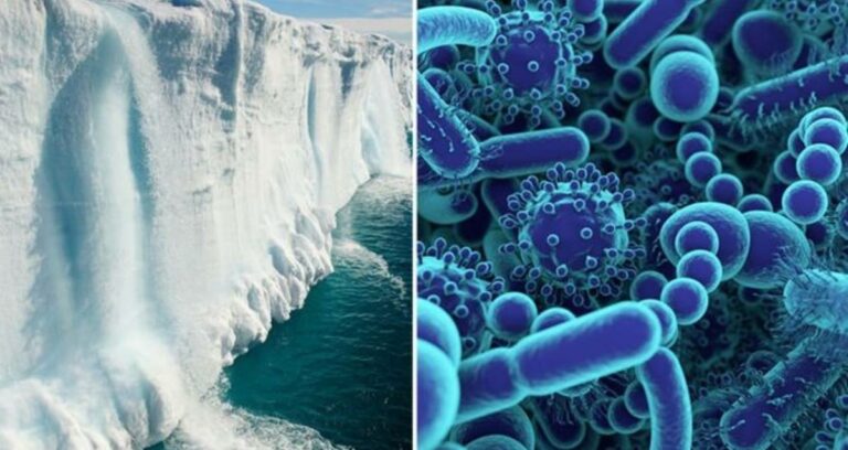 Antik çaglardan kalma virüsler kesfedildi