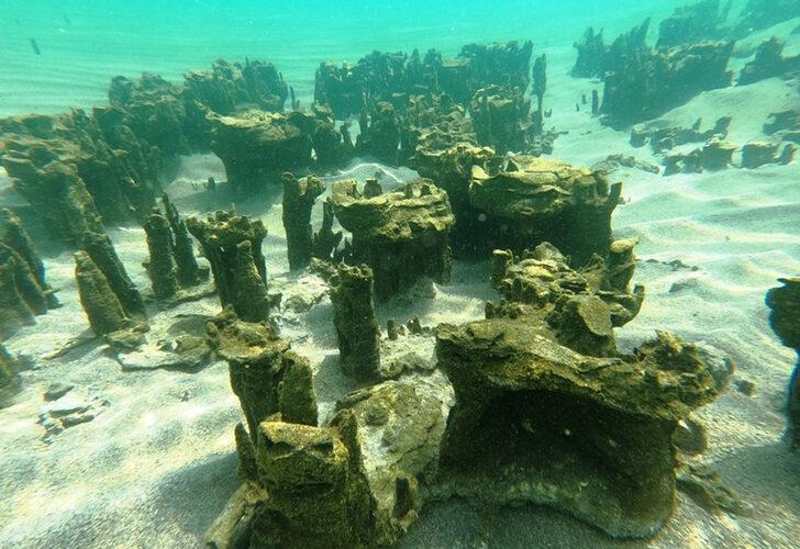 Van Gölü'nde yeni mikrobiyalitler kesfedildi