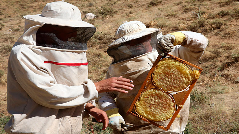 Kürdistan bali Asya’da birinci seçildi