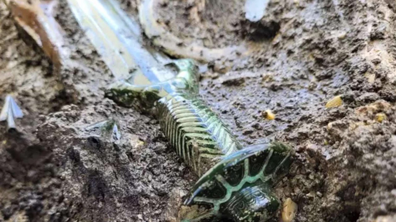 Almanya’da 3 bin yillik sekizgen kiliç tipi bulundu