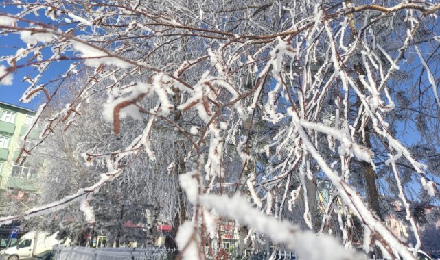 Serma Ardahanê 32 derece ket binê sifrê (-32C)