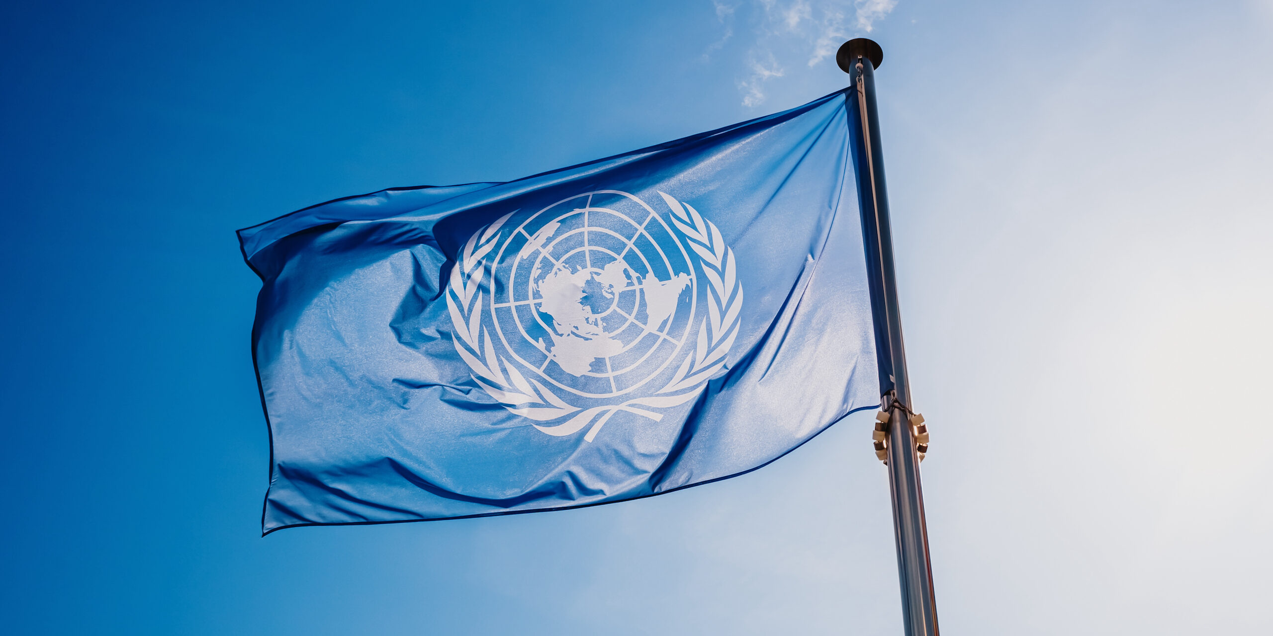 BM'den Ukrayna'ya yardim çagrisi