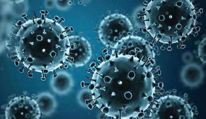 Fransa'da grip 2 bin 800 can aldi