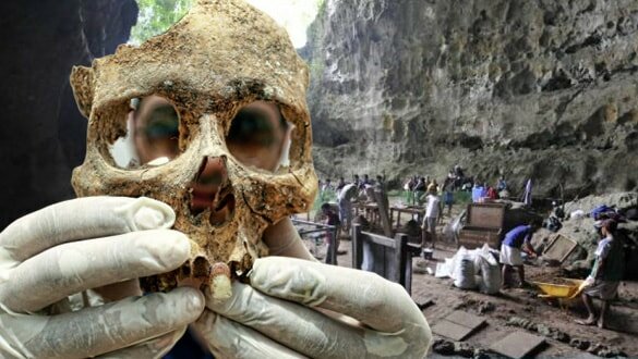 Filipinler'de yeni bir insan türüne ait fosiller bulundu