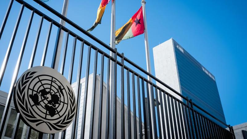 BM’den Suudi Arabistan’a sert tepki: Dehset verici…