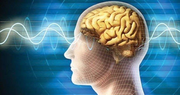 Beyin yasam boyunca yeni hücreler üretebiliyor