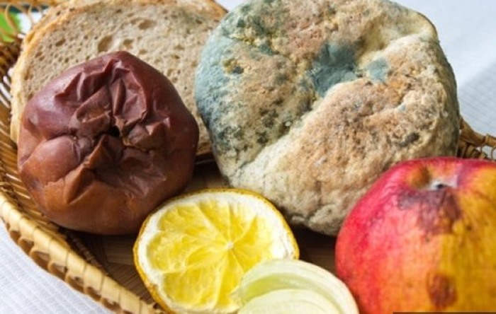 Her yil binlerce insan bozuk gidadan ölüyor