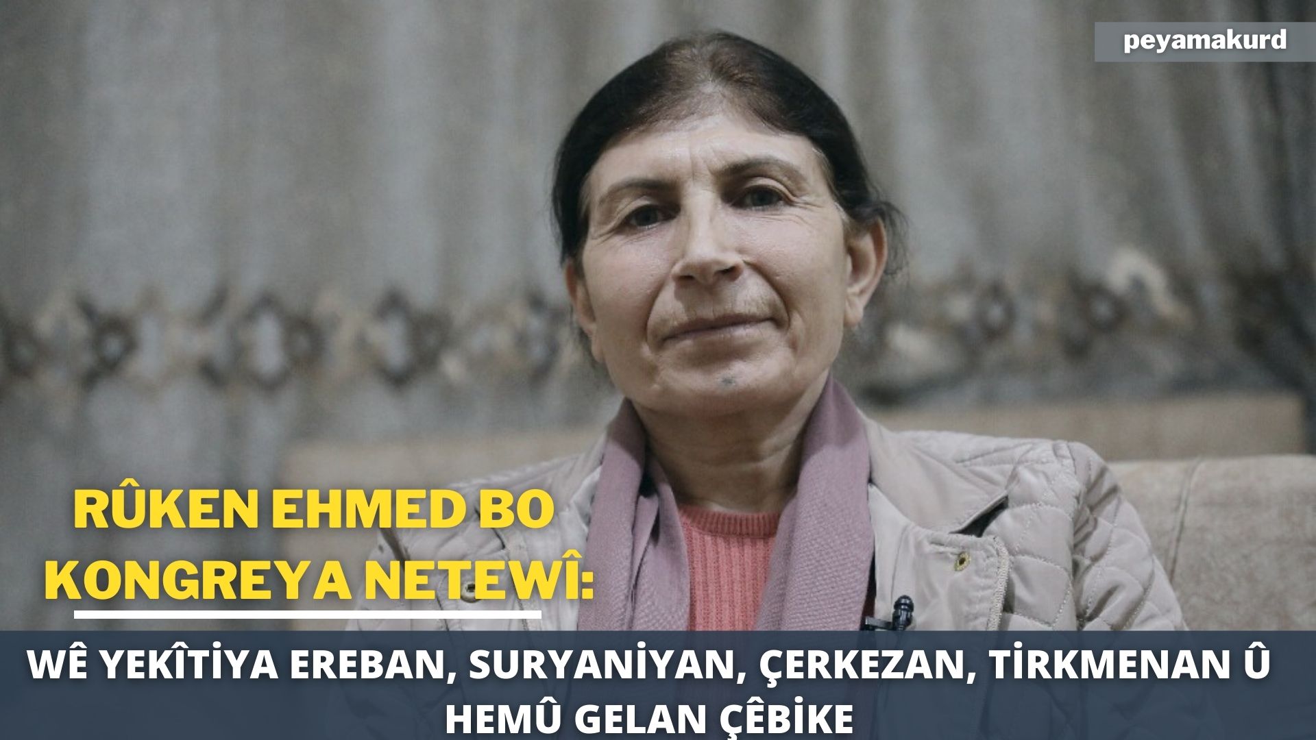 Hevseroka TEV-DEMê bû berdevka propagandaya PKKê ya dijî PDKê!